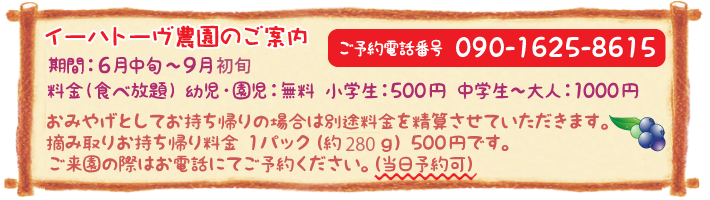 ブルーベリー狩り