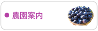 ブルーベリー農園
