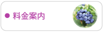 ブルーベリー狩り料金